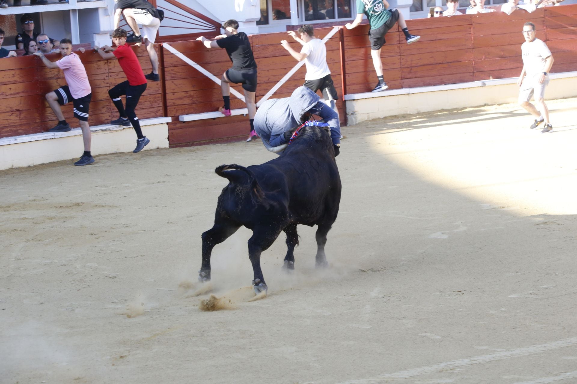 Las imágenes de la cogida en la 15ª edición del Toro de la Feria en Medina del Campo