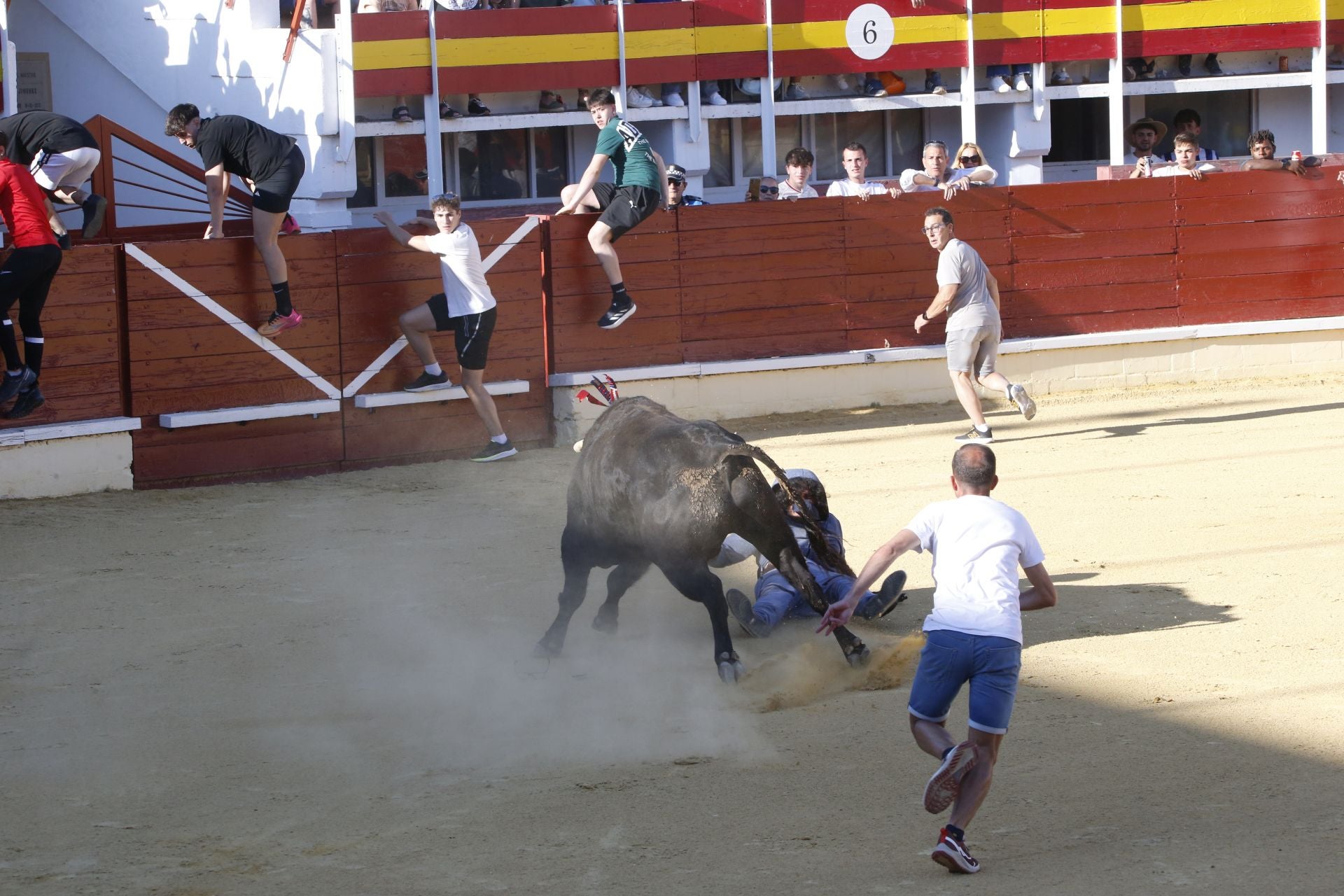 Las imágenes de la cogida en la 15ª edición del Toro de la Feria en Medina del Campo