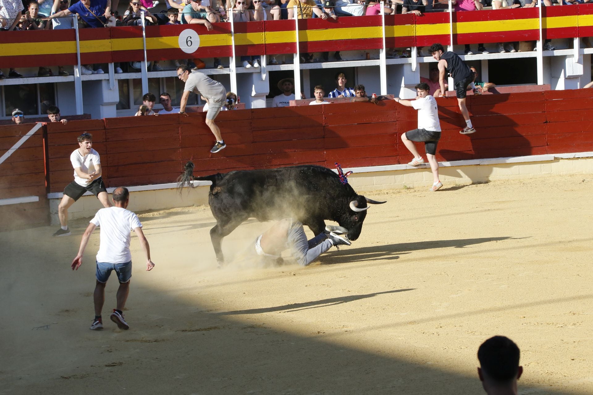 Las imágenes de la cogida en la 15ª edición del Toro de la Feria en Medina del Campo