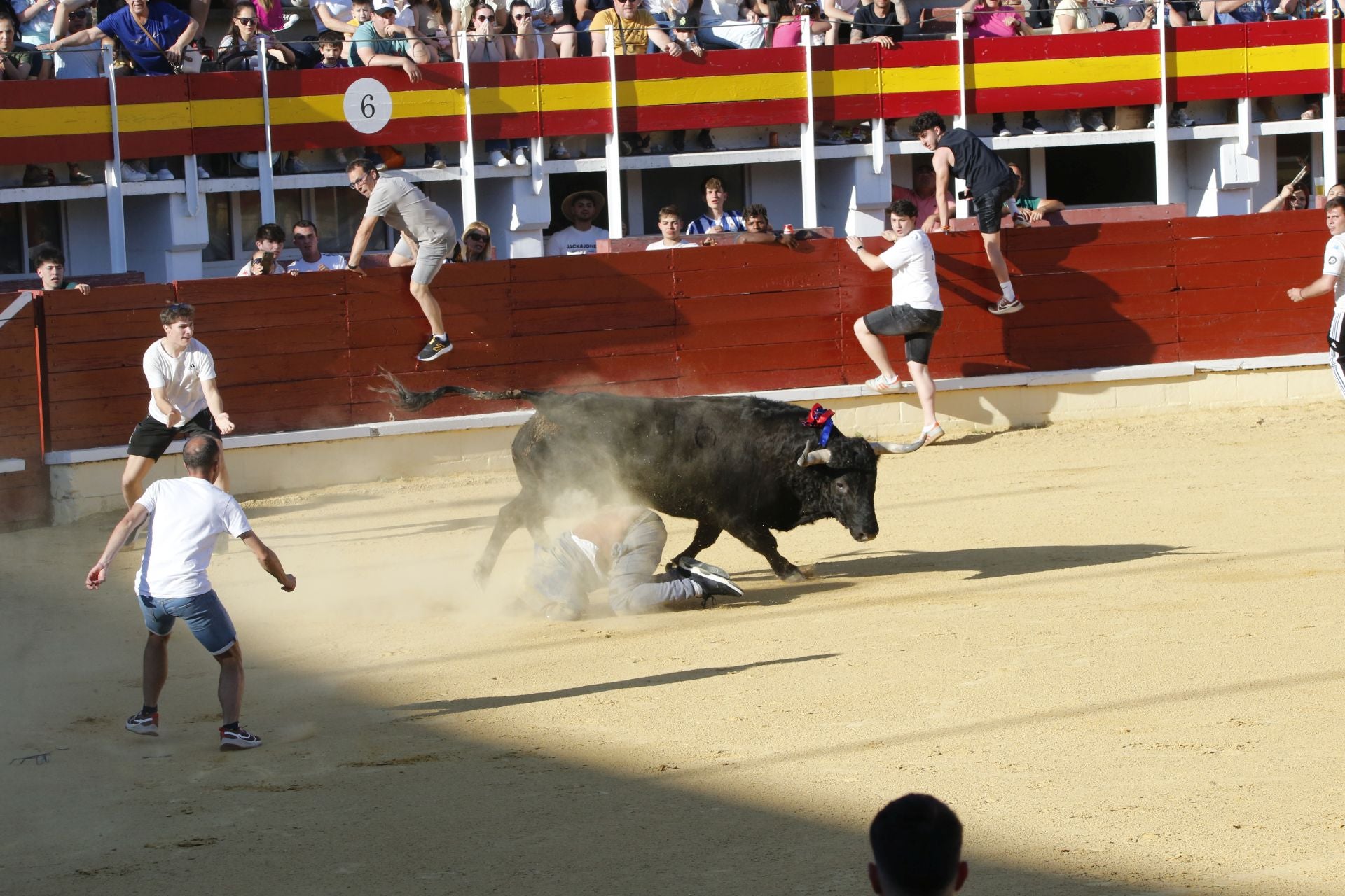 Las imágenes de la cogida en la 15ª edición del Toro de la Feria en Medina del Campo