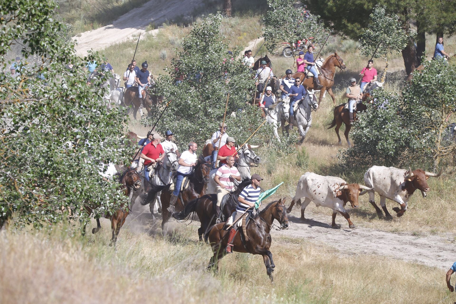 El encierro de La Parrilla, en imágenes