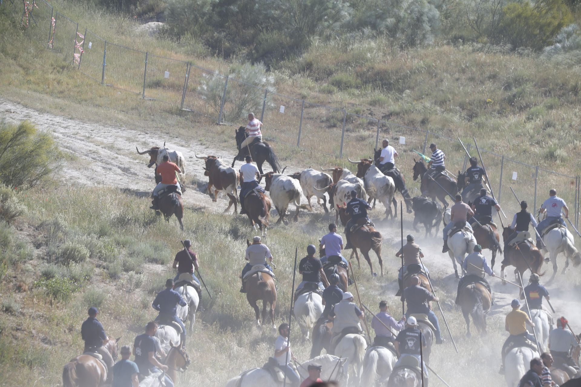El encierro de La Parrilla, en imágenes