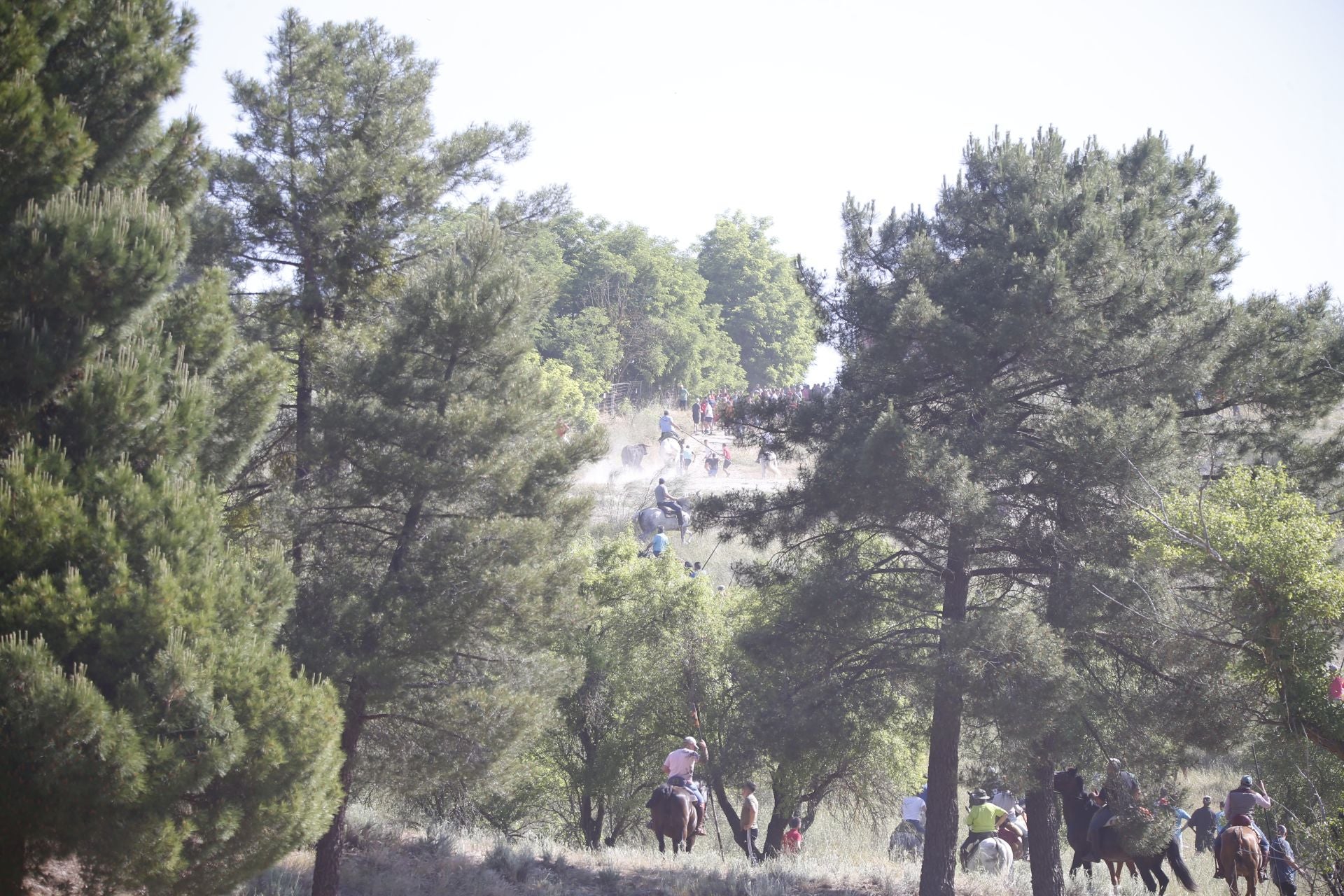 El encierro de La Parrilla, en imágenes