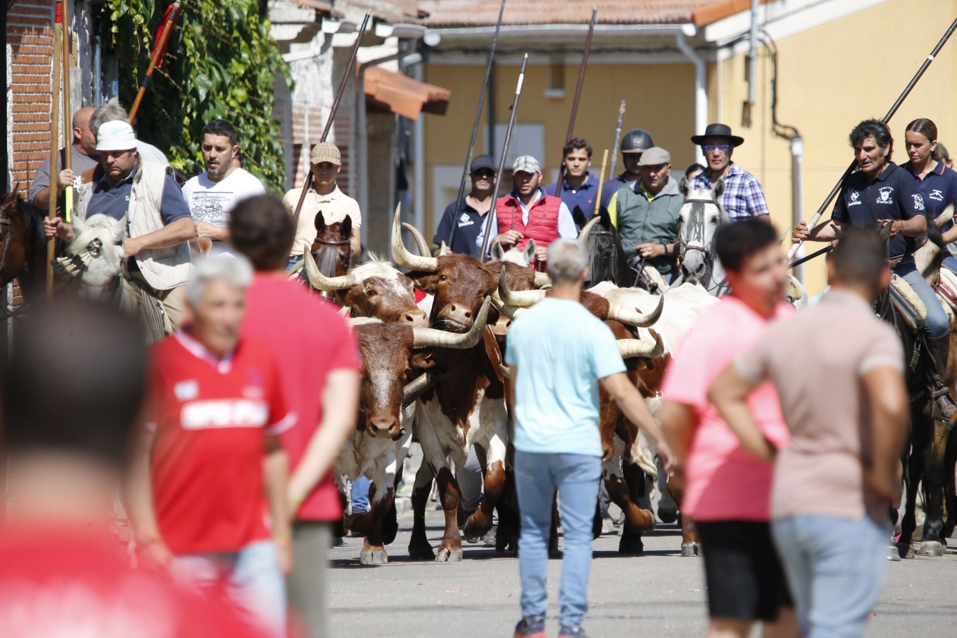 El encierro de La Parrilla, en imágenes