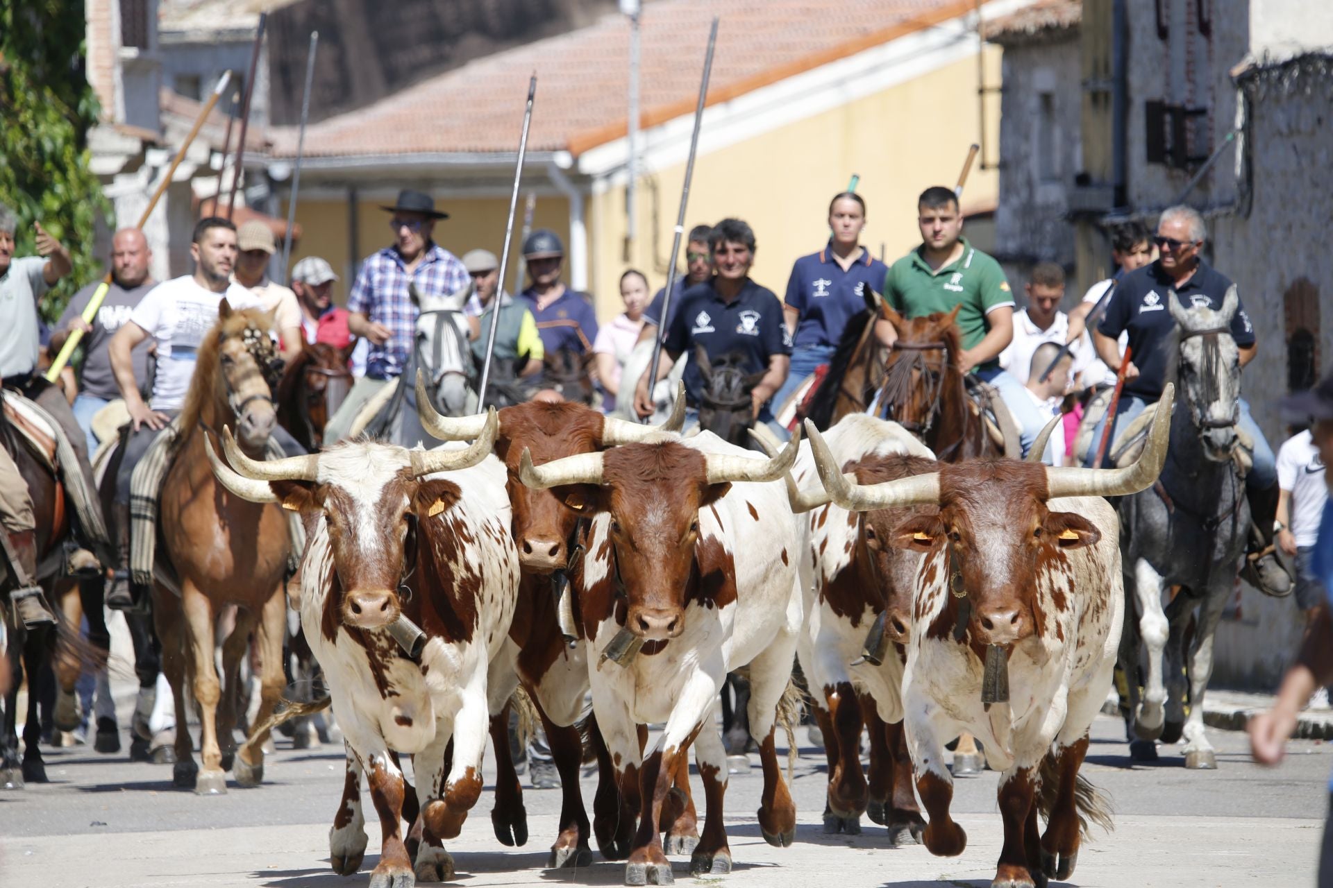 El encierro de La Parrilla, en imágenes