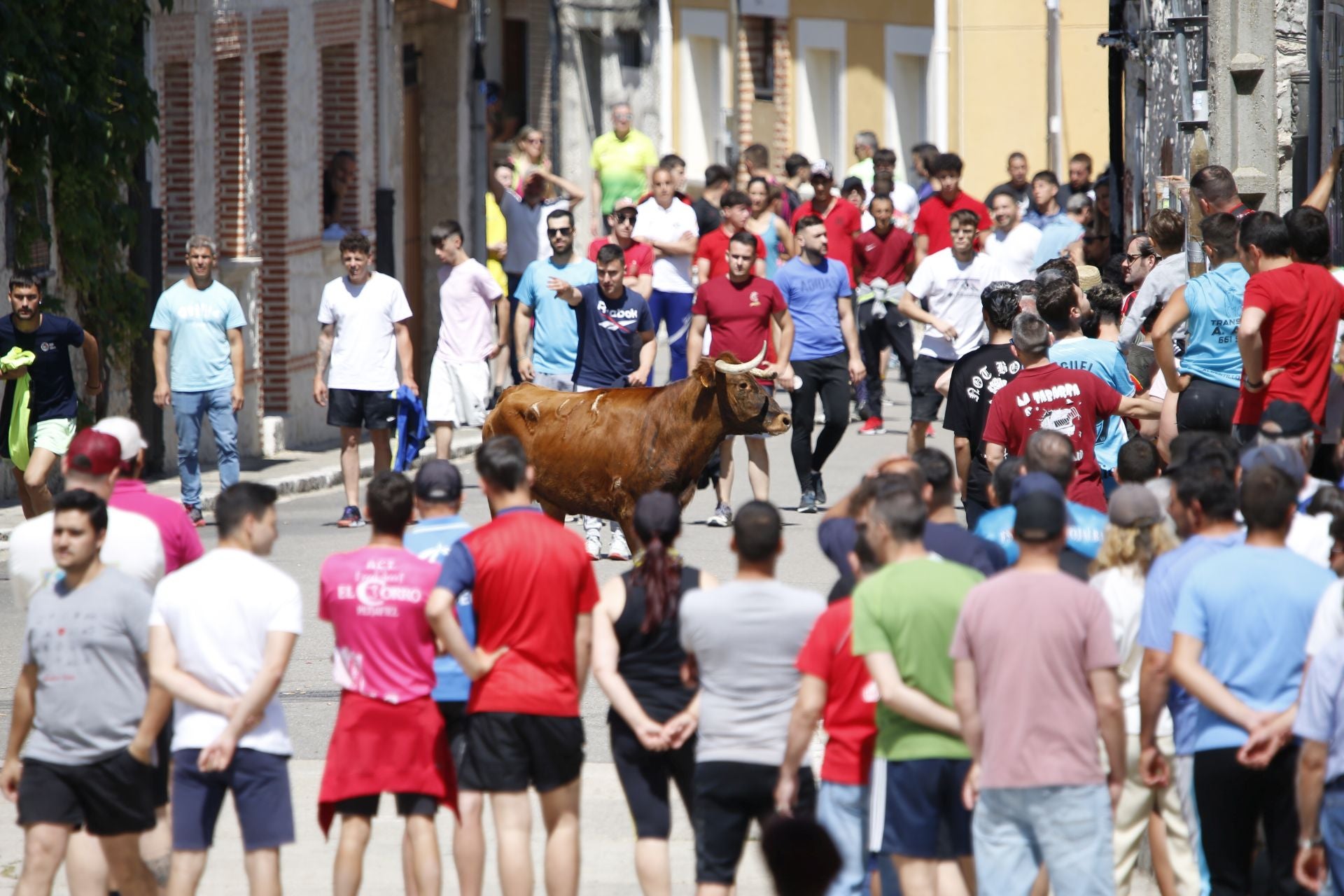 El encierro de La Parrilla, en imágenes