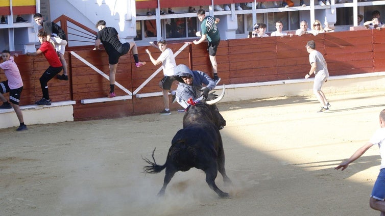 Un herido grave y dos leves en el festejo taurino de Medina del Campo