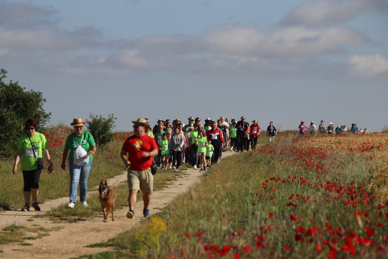 Valdenebro de los Valles marcha contra el cáncer