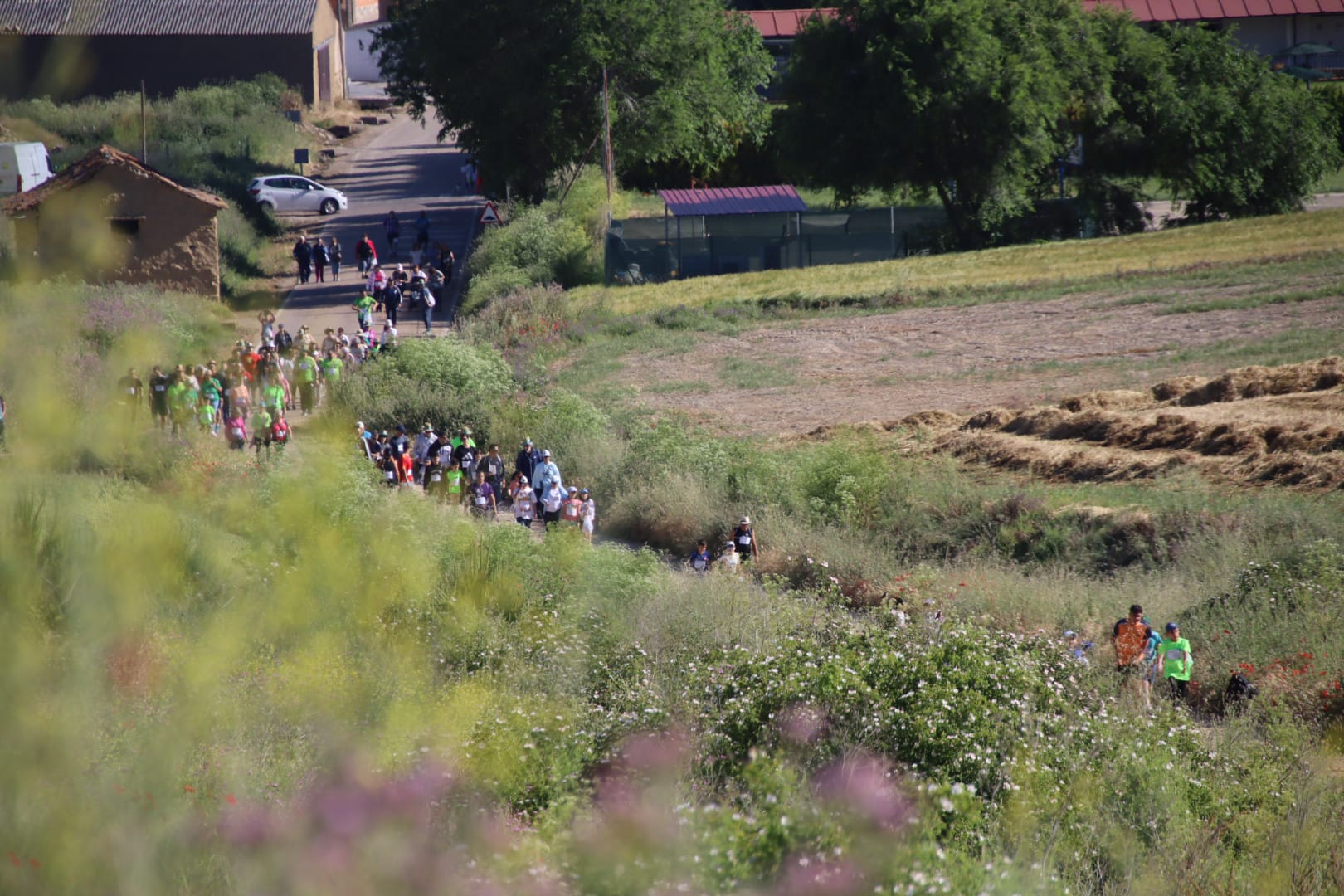 Valdenebro de los Valles marcha contra el cáncer