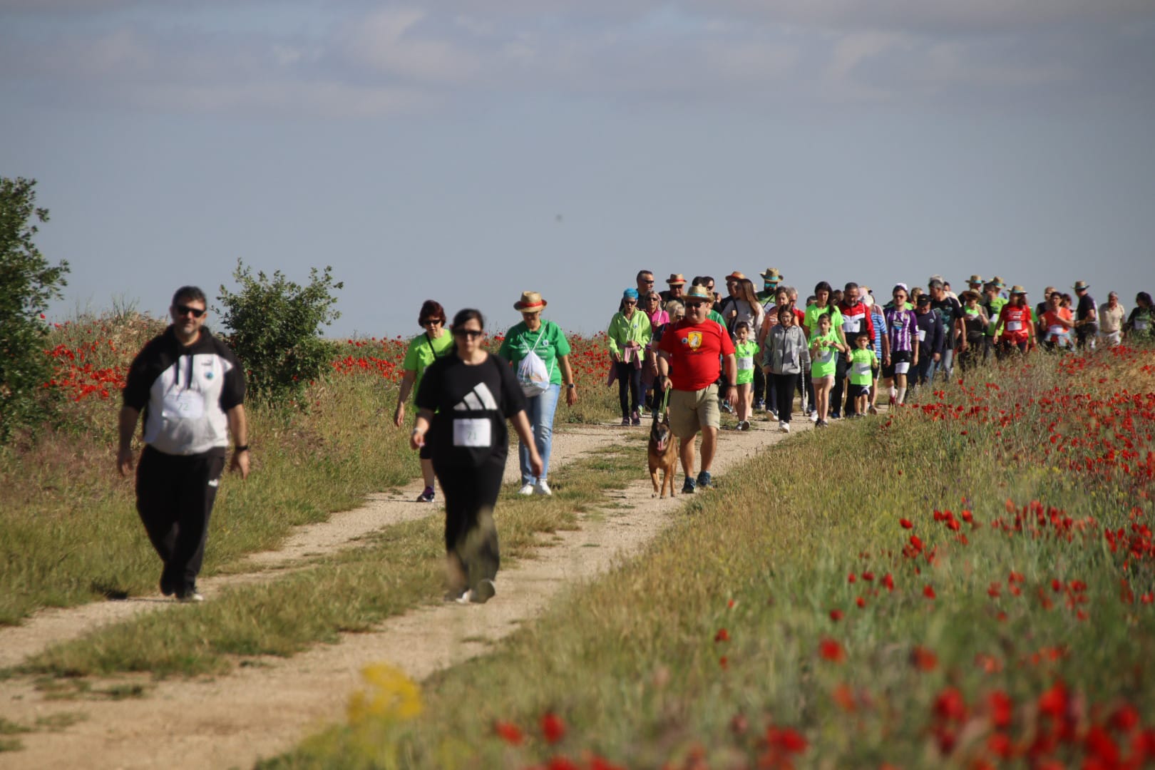 Valdenebro de los Valles marcha contra el cáncer