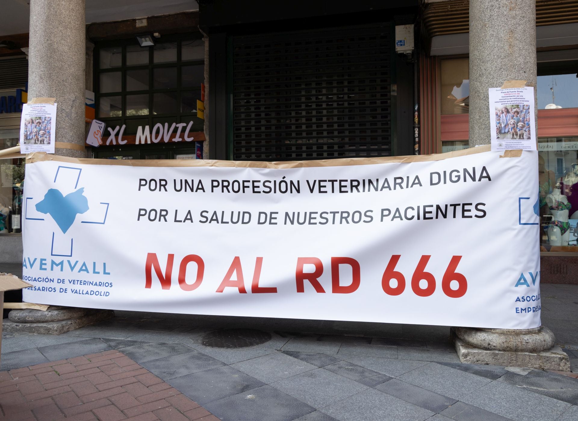 La protesta de los veterinarios, en imágenes