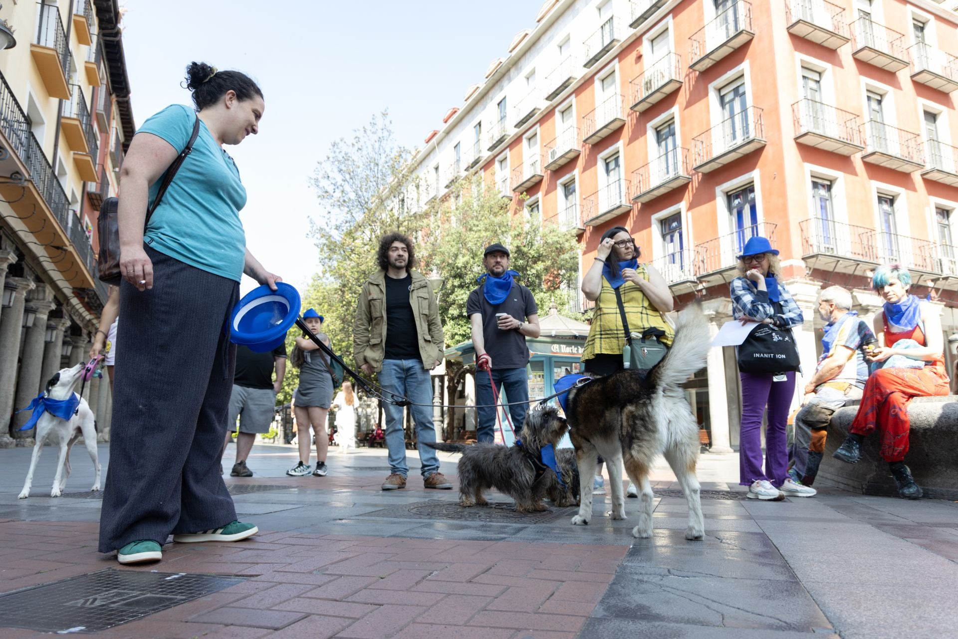La protesta de los veterinarios, en imágenes
