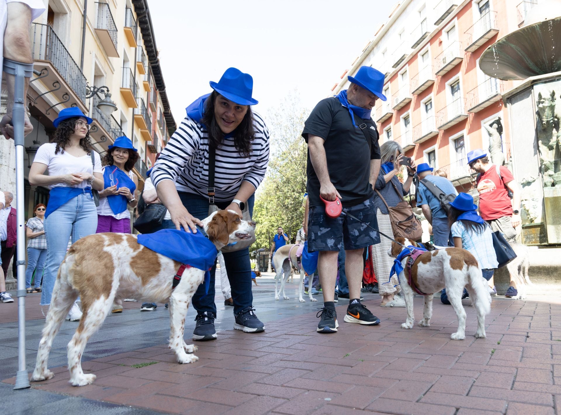 La protesta de los veterinarios, en imágenes