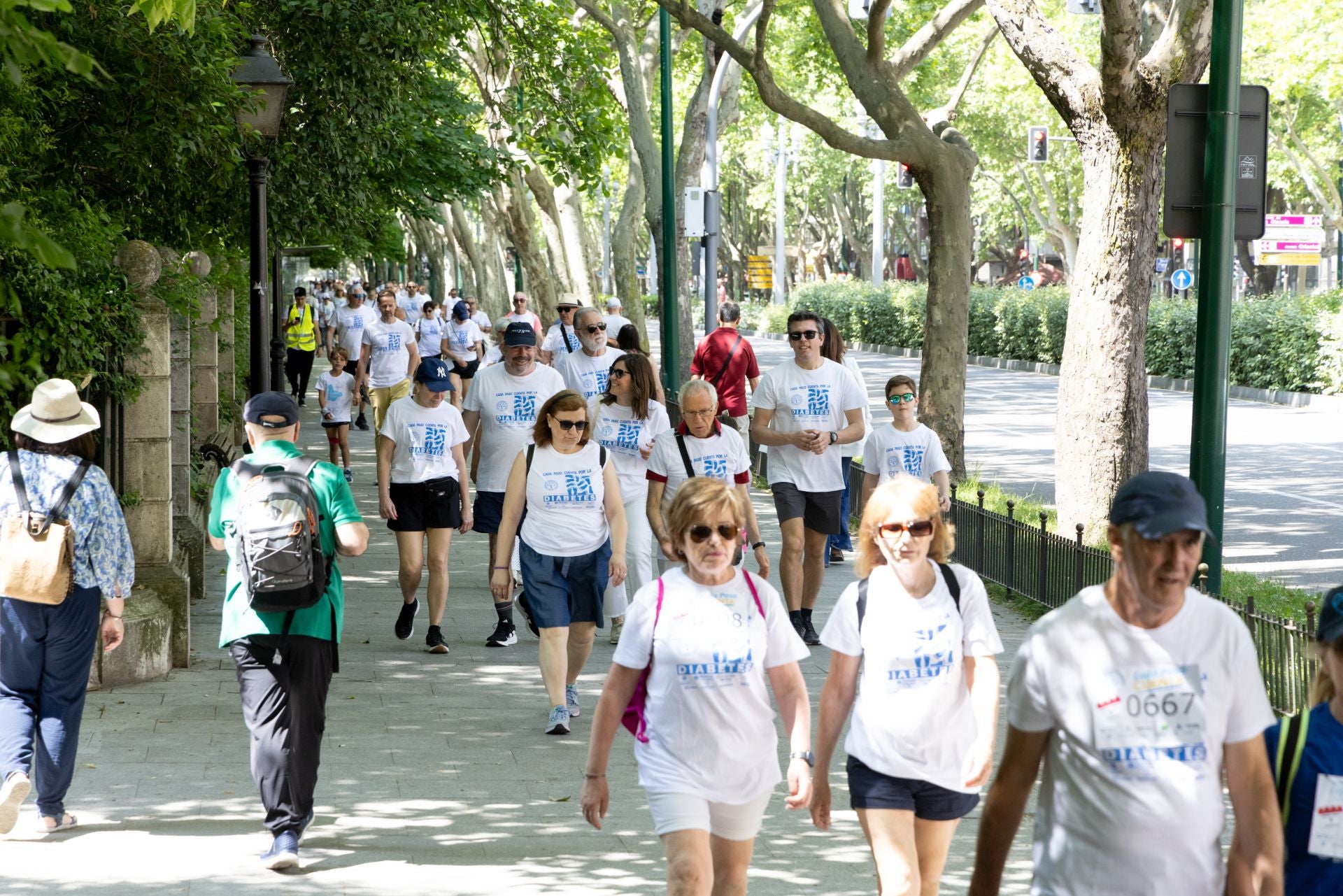 La marcha para dar visibilidad a la diabetes, en imágenes