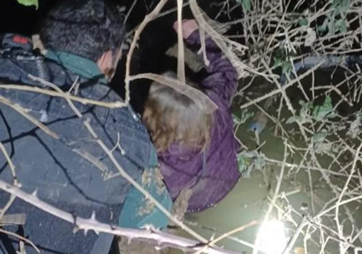 «Mi madre se agarró a las ramas sin saber que se aferraba a la vida»