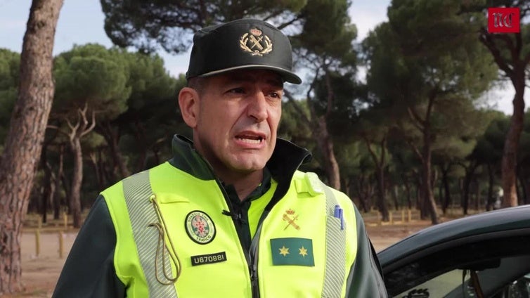 Cuatro accidentes al día son provocados por animales en ala provincia de Valladolid