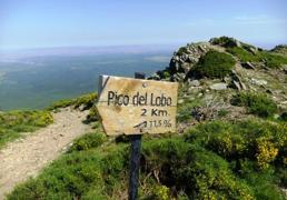 La Pinilla construirá mil cabañas fijas y portátiles en los próximos cinco años