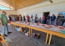 Actividad en el Centro de Innovación Tecnológica.