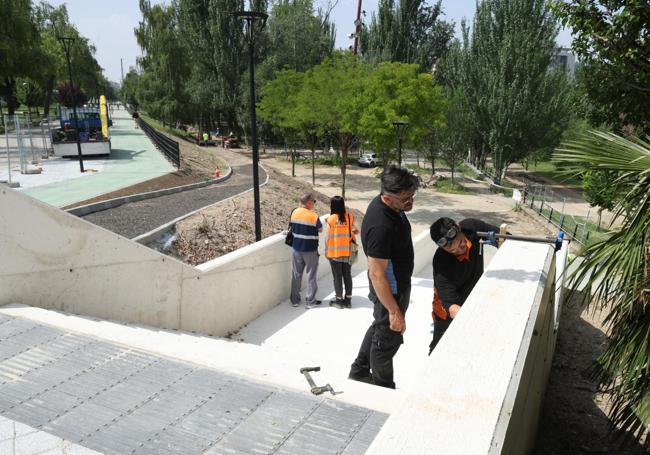 Labres en los muretes que dan acceso al paseo de Las Moreras desde el Puente Mayor.