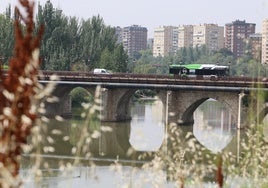 Los diez ojos desiguales que vigilan Valladolid desde el Pisuerga