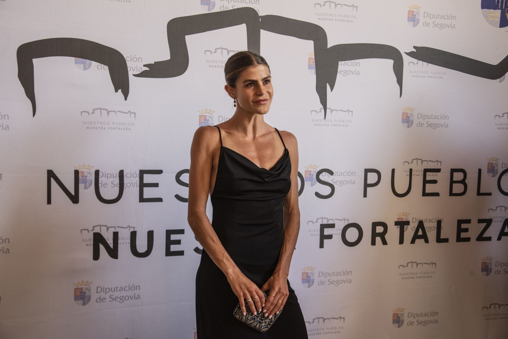 Fotos de la entrega de los Premios Diputación de Segovia