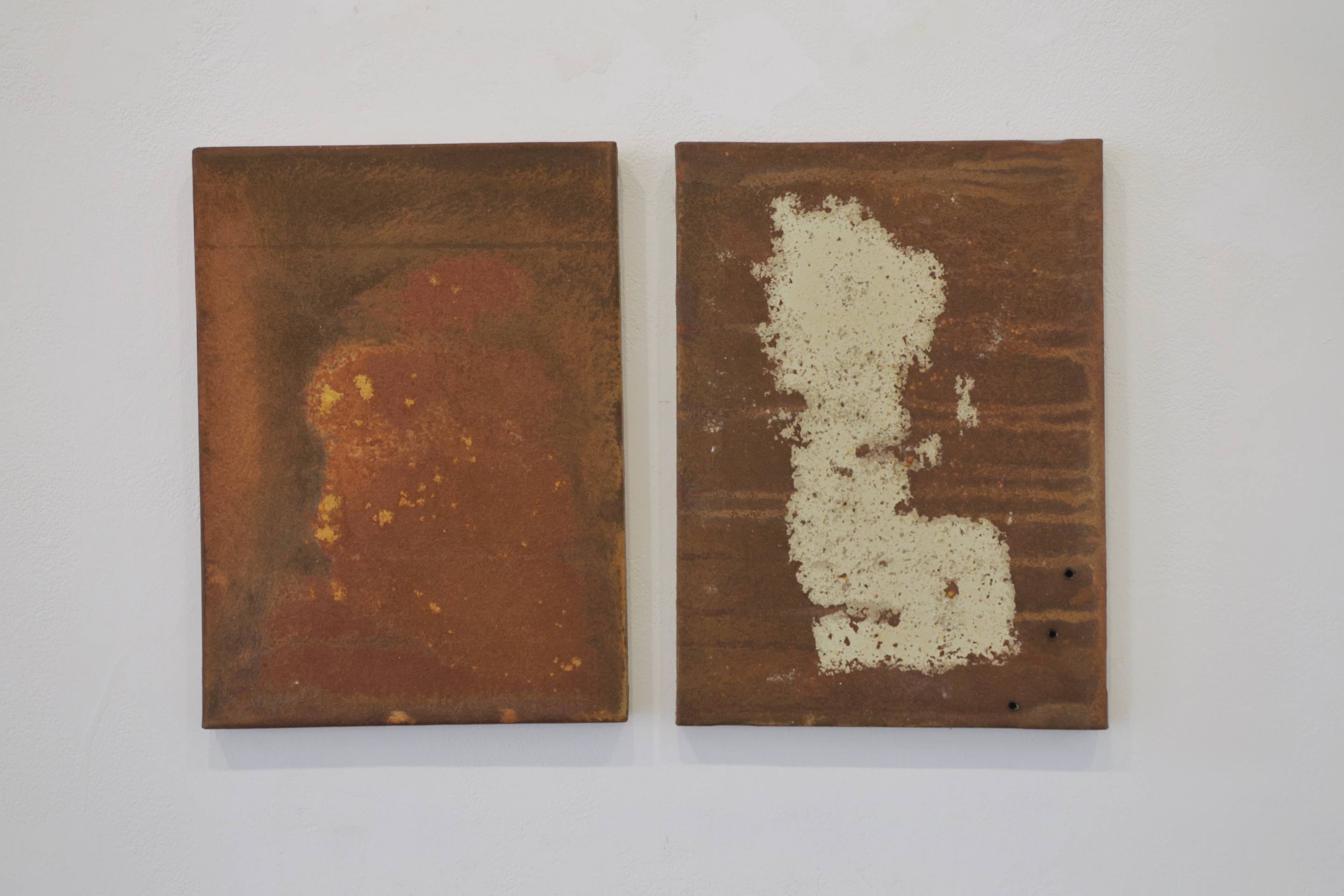 La exposición de Manuel Velasco en Valladolid, en imágenes