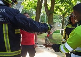 Los bomberos refrescan con agua a una de las aves tras el incendio, que afectó a las jaulas y causó la muerte de varios animales.