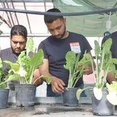 Jesús Jiménez, Ángel Cerreduela y Eleazar Jiménez, tres de los doce jóvenes que participan en el proyecto.
