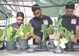 Jesús Jiménez, Ángel Cerreduela y Eleazar Jiménez, tres de los doce jóvenes que participan en el proyecto.