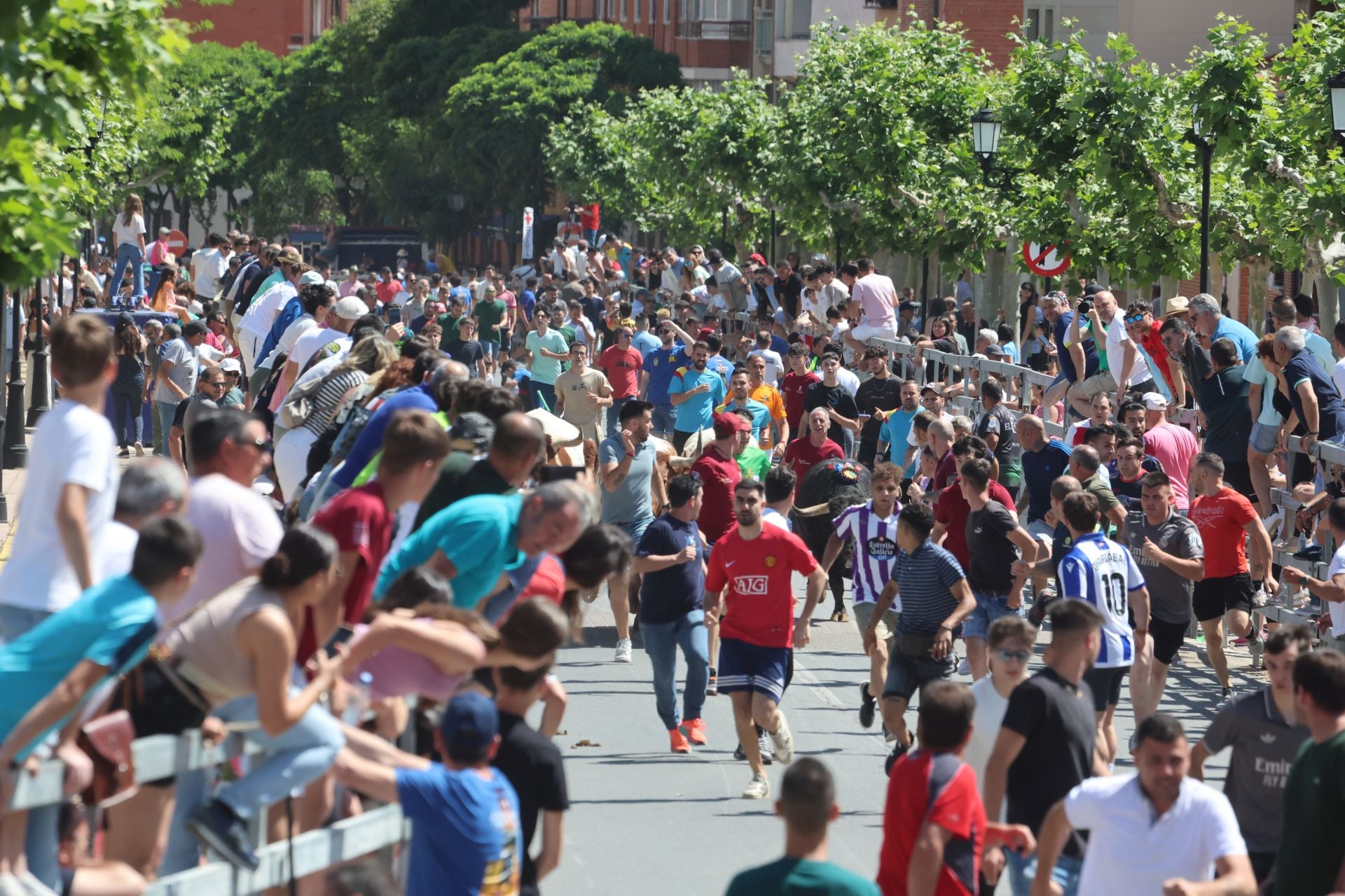 El Congreso Nacional de Toro de Cajón de Medina, en imágenes