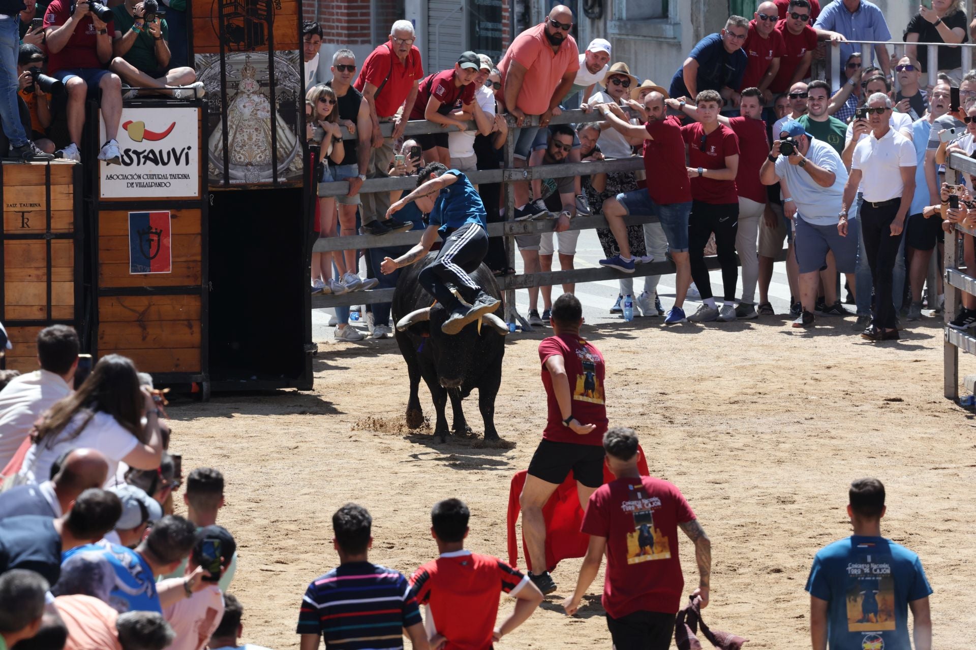 El Congreso Nacional de Toro de Cajón de Medina, en imágenes