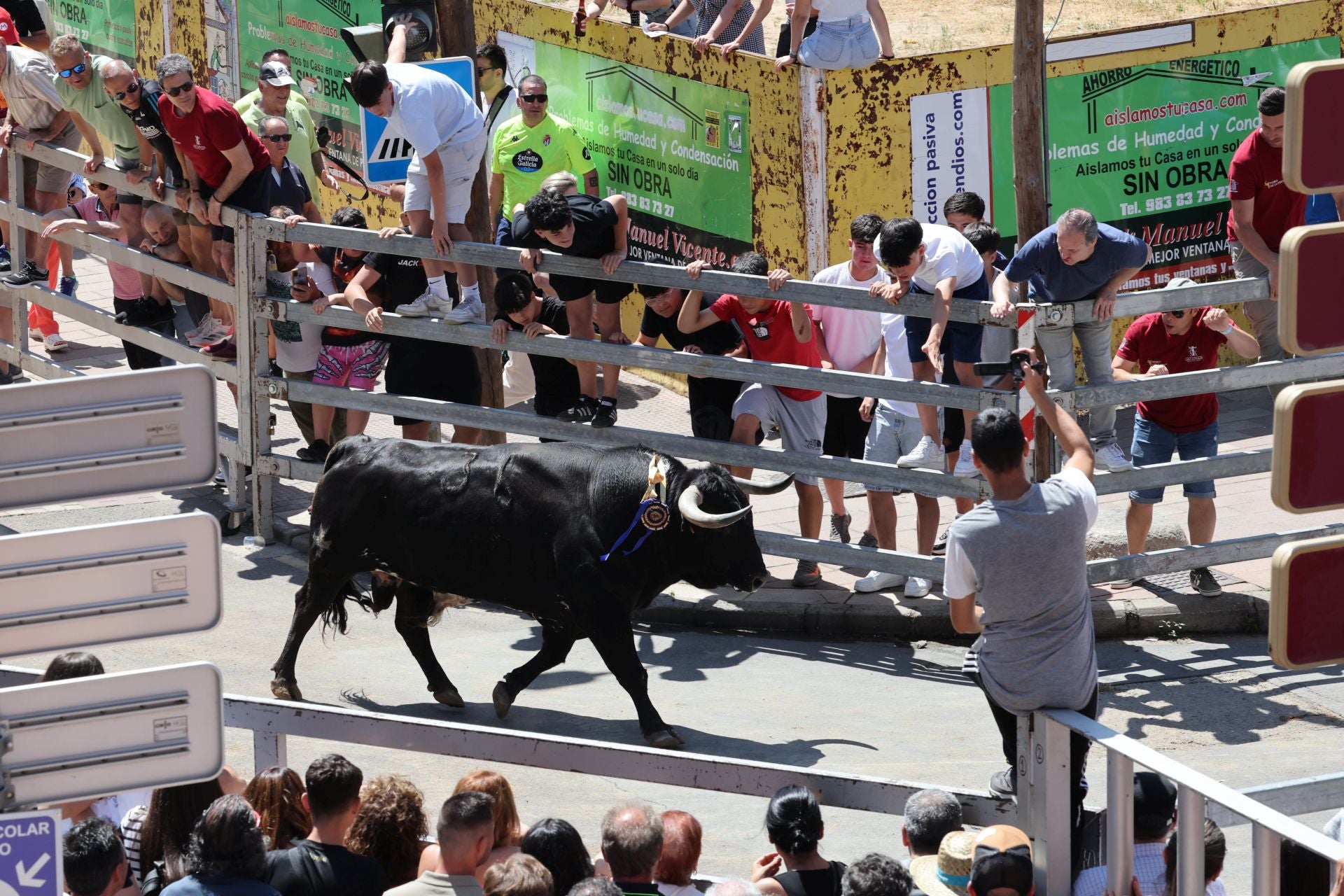 El Congreso Nacional de Toro de Cajón de Medina, en imágenes