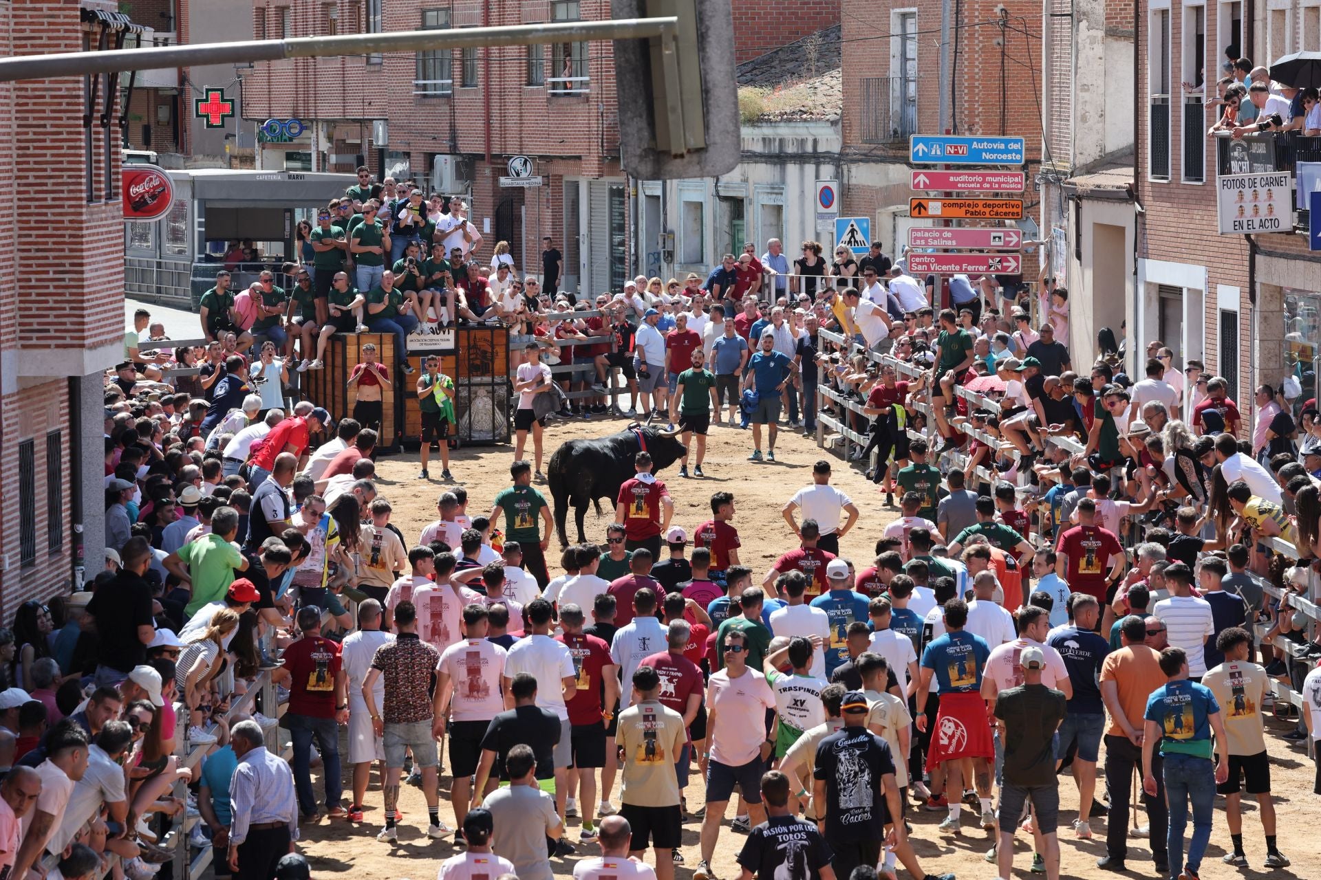 El Congreso Nacional de Toro de Cajón de Medina, en imágenes