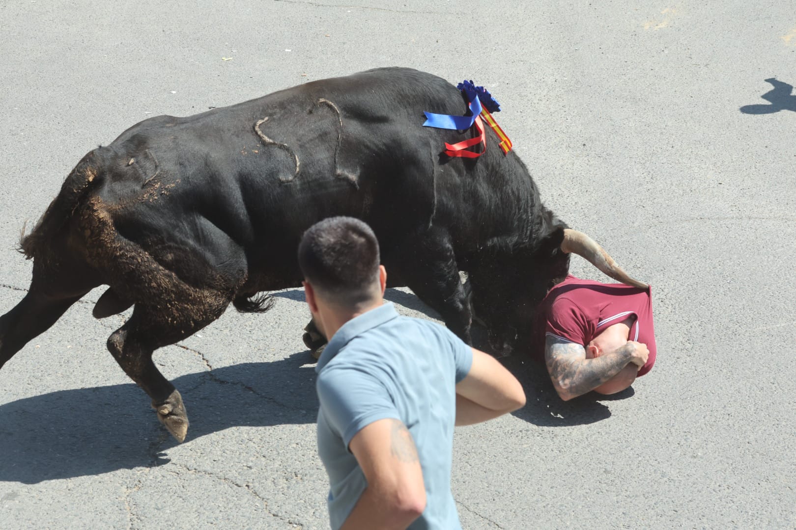 El revolcón en la suelta de Medina del Campo, en imágenes
