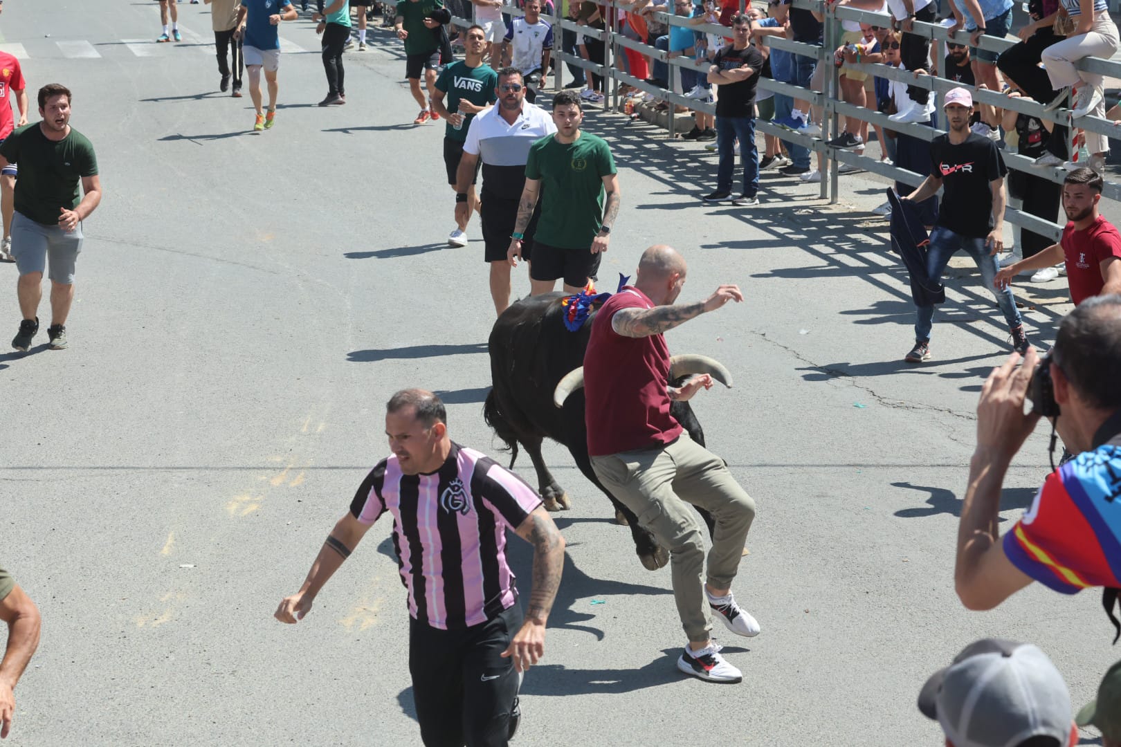 El revolcón en la suelta de Medina del Campo, en imágenes