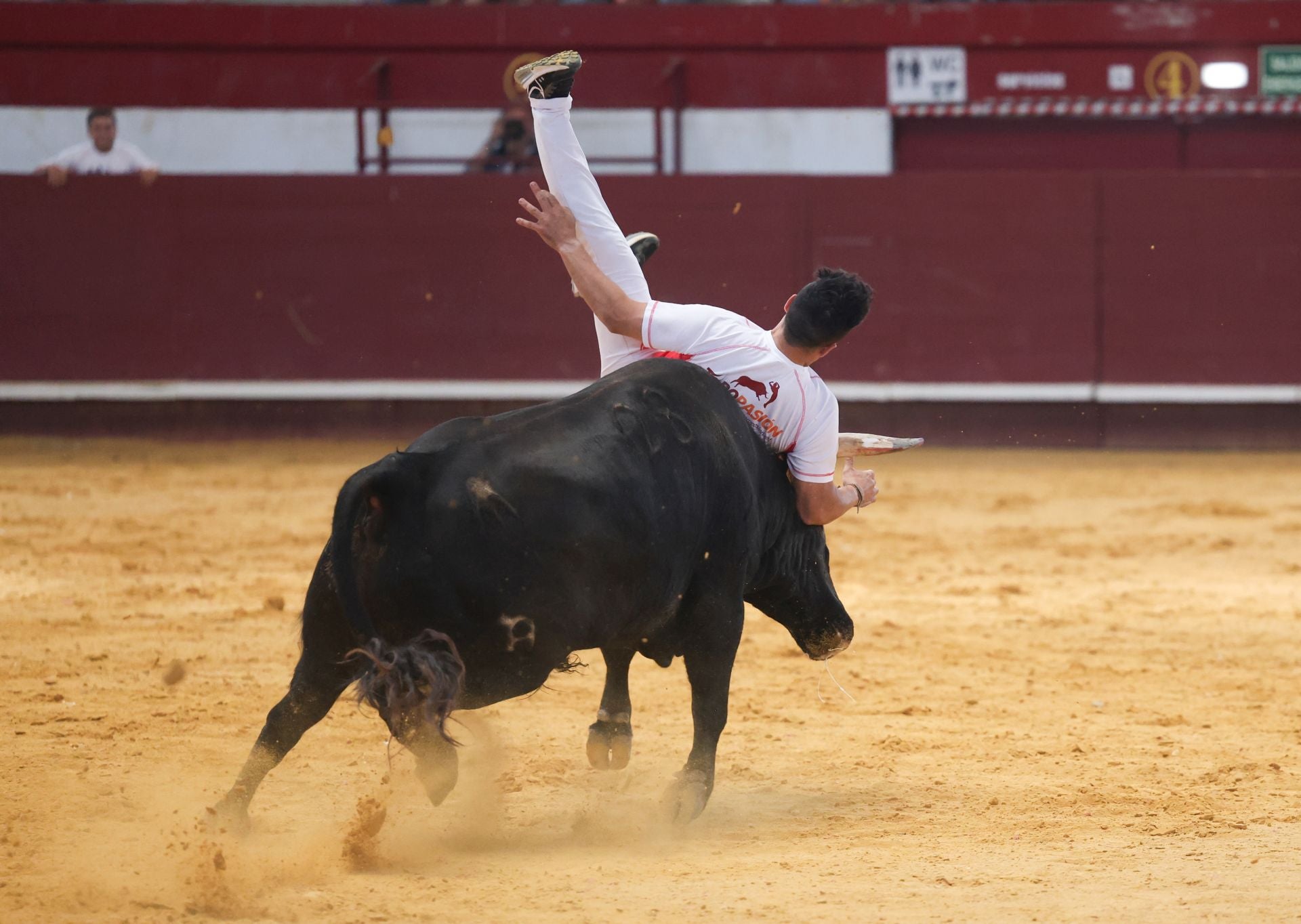 El concurso de cortes de Arroyo, en imágenes