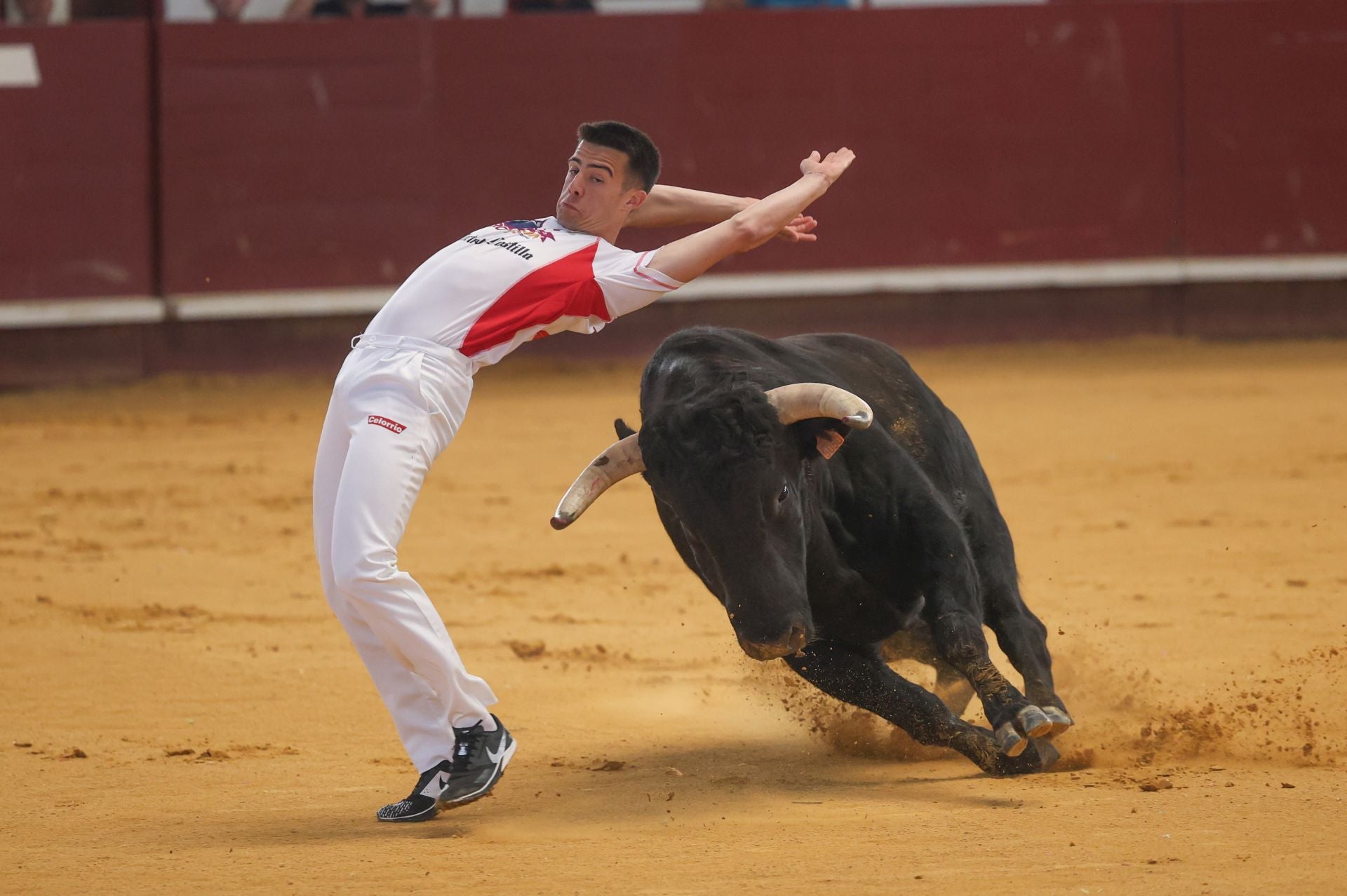 El concurso de cortes de Arroyo, en imágenes