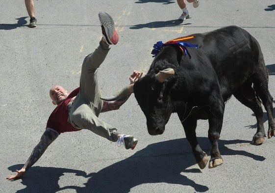 Momento en el que el corredor es volteado por el toro.