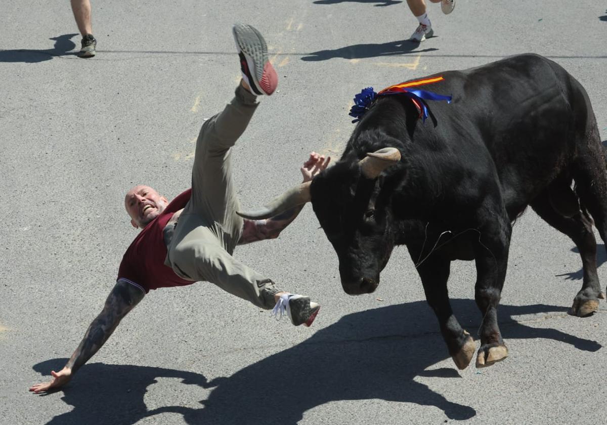Momento en el que el corredor es volteado por el toro.