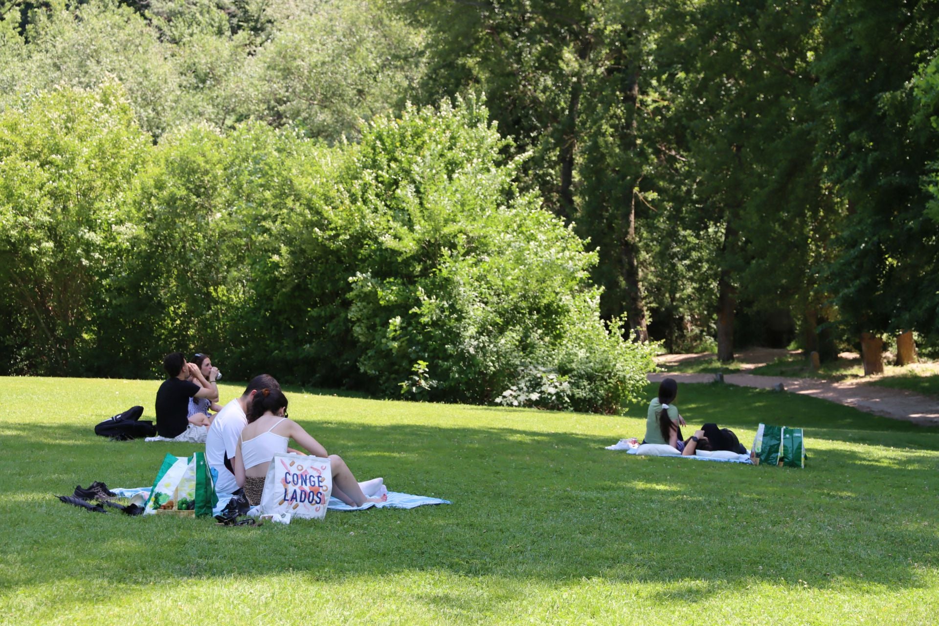 Fotografías del Picnic Day en Segovia