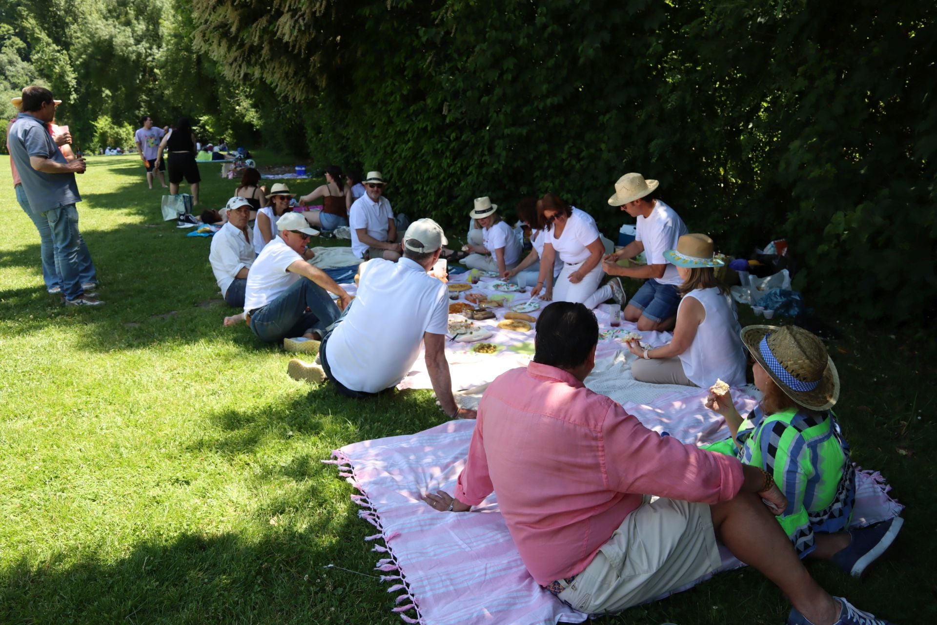 Fotografías del Picnic Day en Segovia