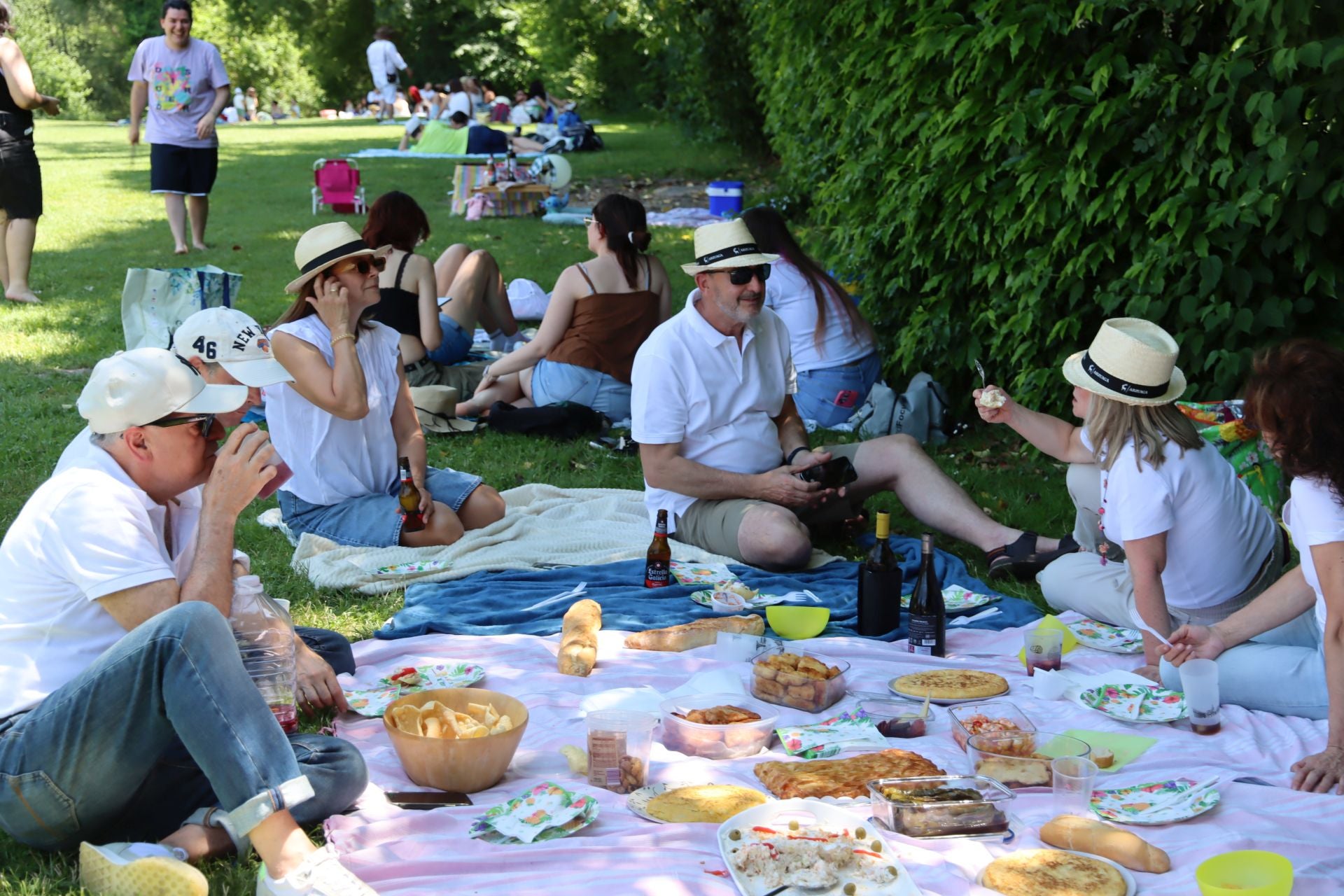 Fotografías del Picnic Day en Segovia