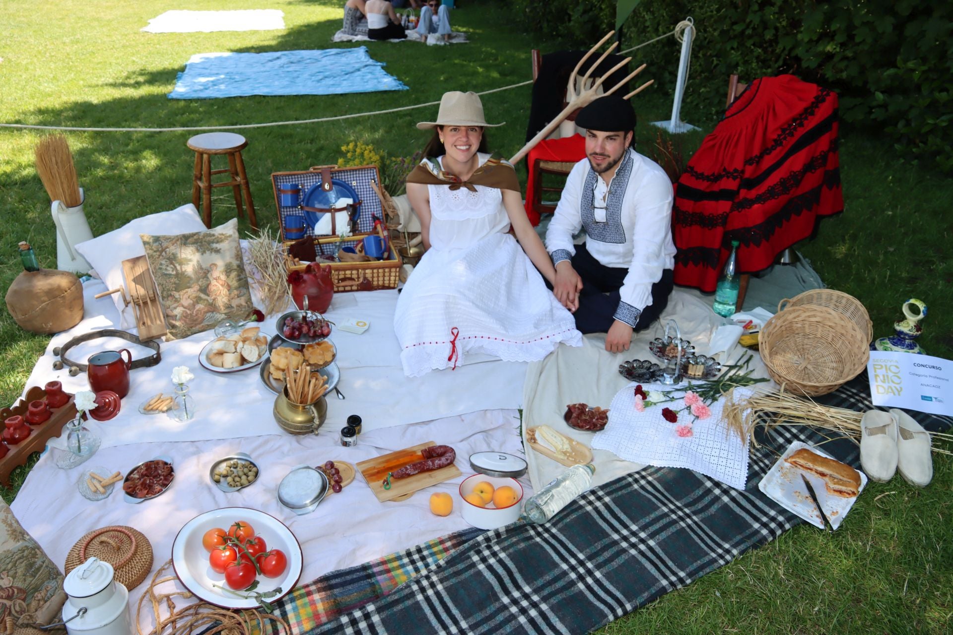 Fotografías del Picnic Day en Segovia