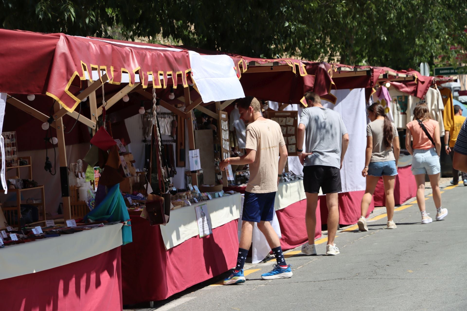 Fotografías del Picnic Day en Segovia