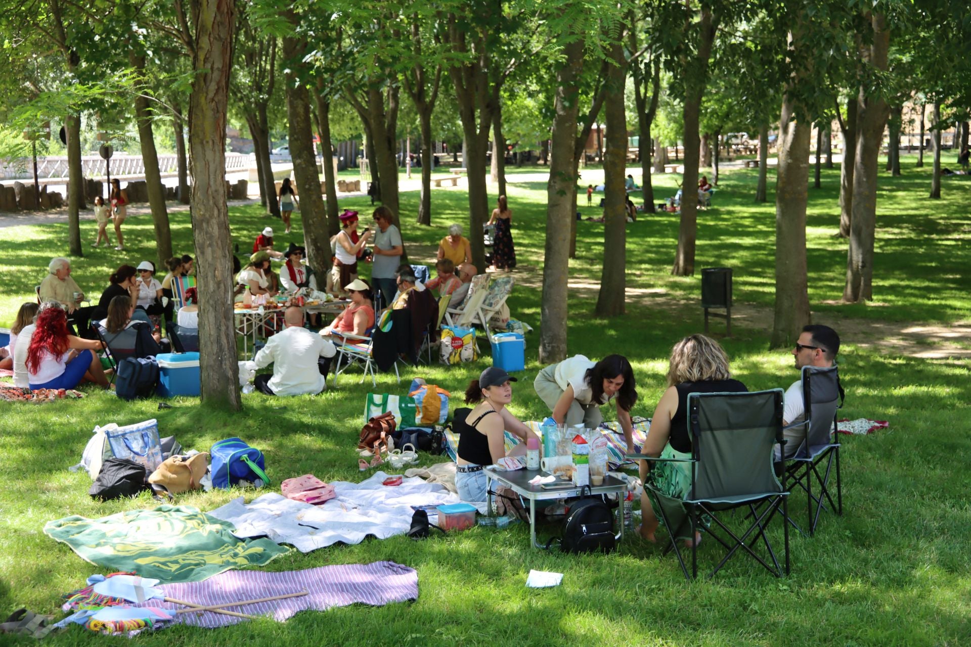 Fotografías del Picnic Day en Segovia