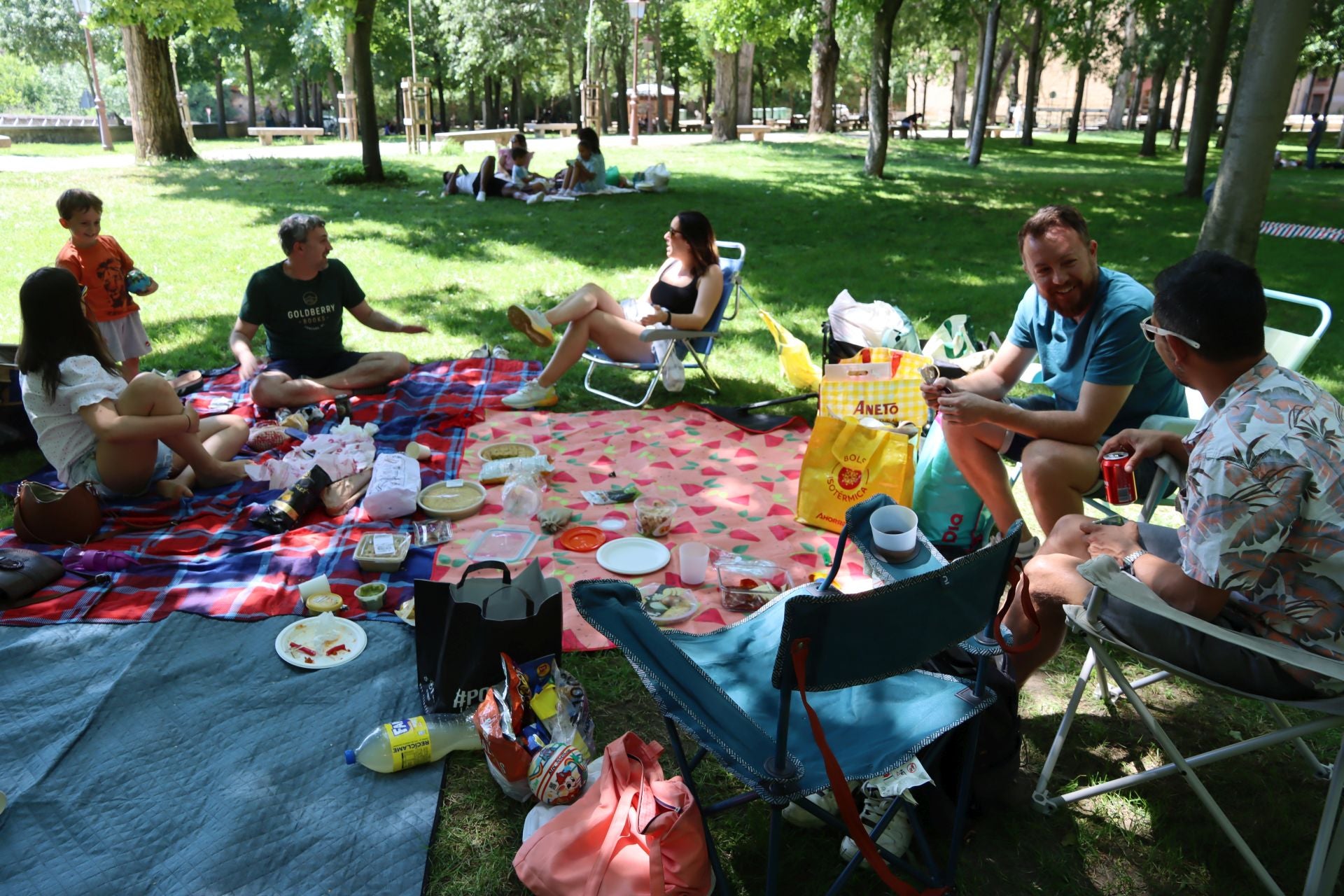 Fotografías del Picnic Day en Segovia