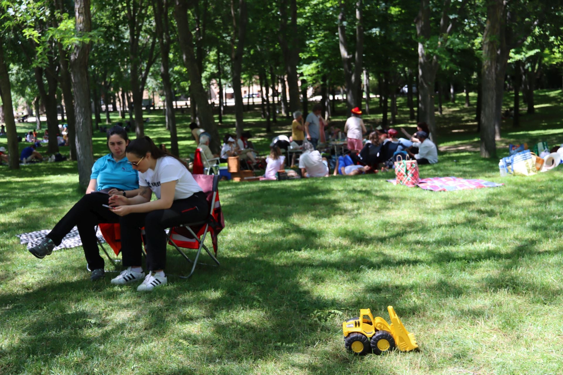 Fotografías del Picnic Day en Segovia