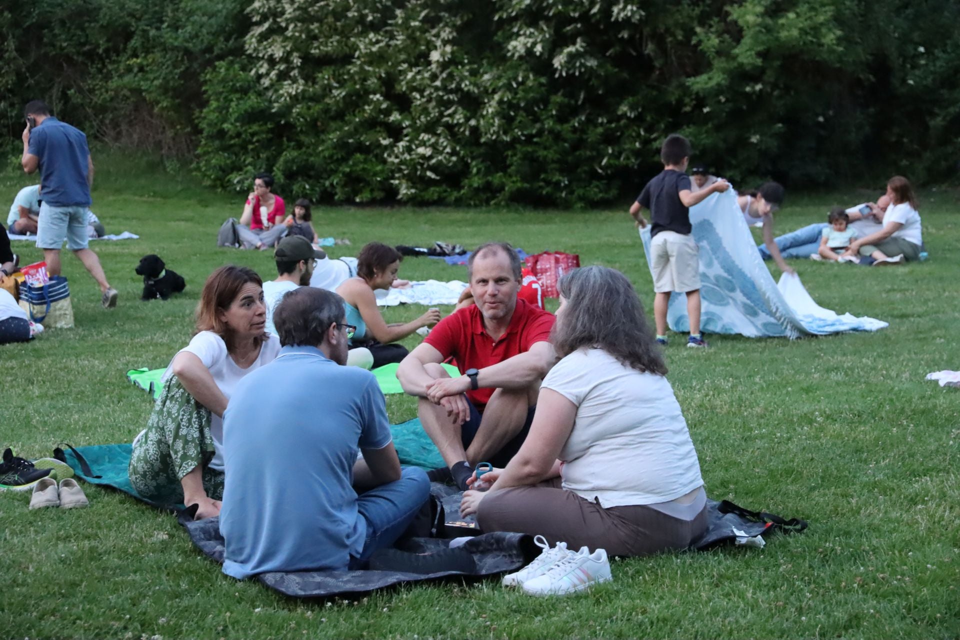 El espectáculo de drones por el Picnic Day, en imágenes