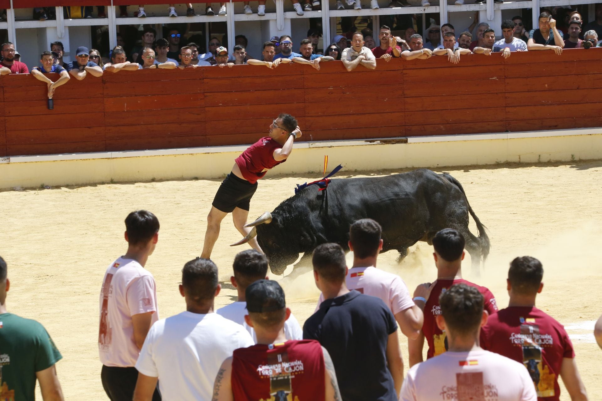 El Congreso Nacional de Toro de Cajón de Medina, en imágenes