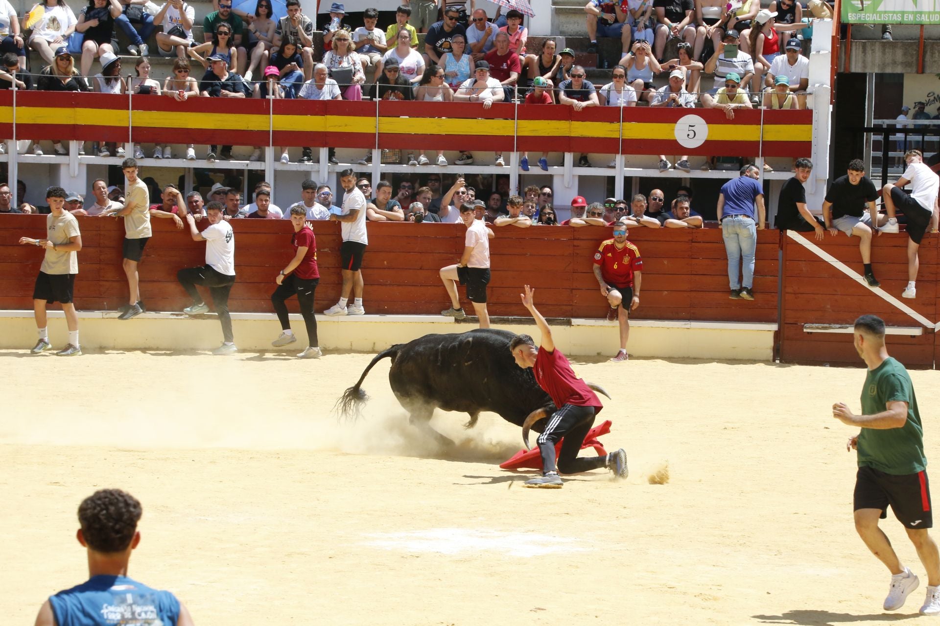 El Congreso Nacional de Toro de Cajón de Medina, en imágenes